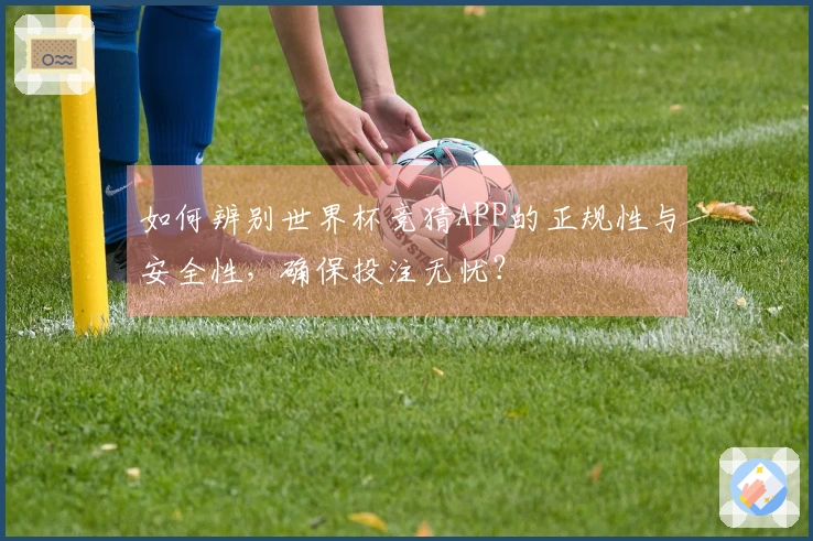 如何辨别世界杯竞猜APP的正规性与安全性，确保投注无忧？
