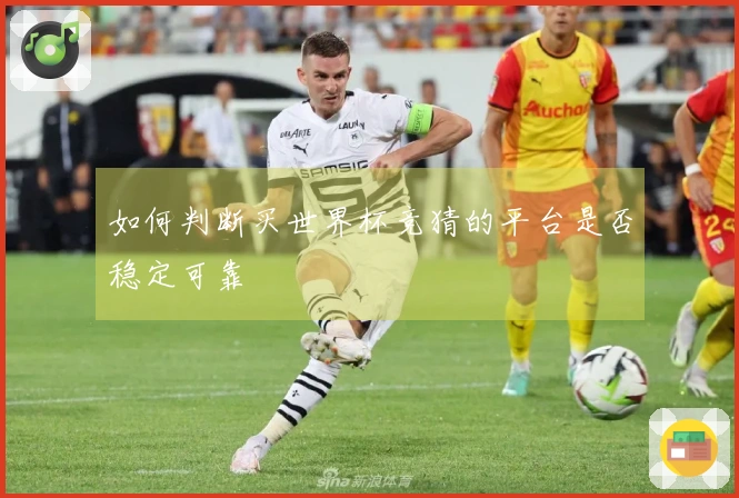 如何判断买世界杯竞猜的平台是否稳定可靠
