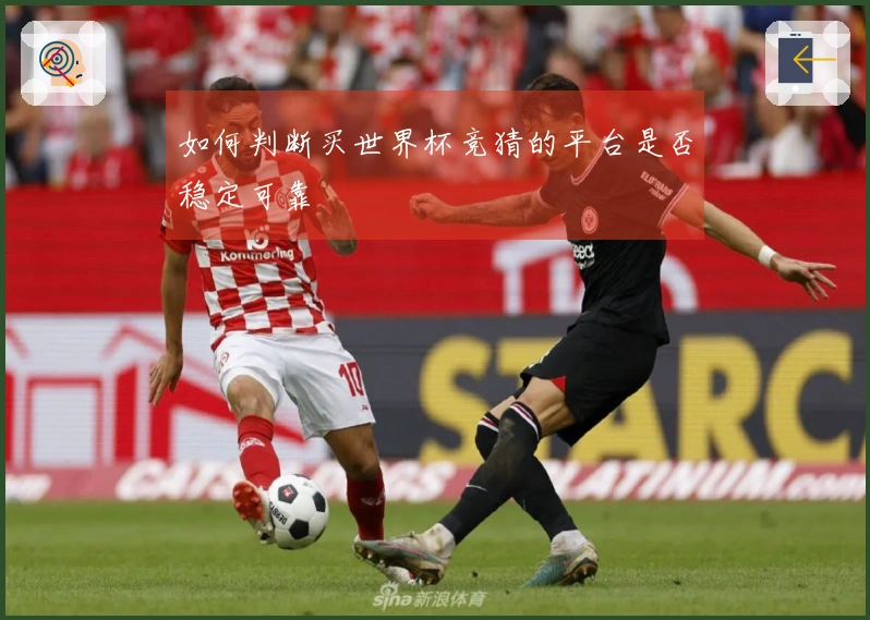 如何判断买世界杯竞猜的平台是否稳定可靠